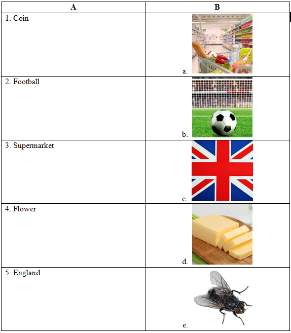 Đề thi IOE Tiếng Anh lớp 5 vòng 1 năm học 2015- 2016