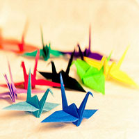 Điều gì đã bóp nghẹt ước mơ của bạn?