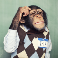 Phân biệt kind of, type of và sort of