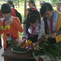 Đề kiểm tra học kì 1 môn Công nghệ lớp 6 năm học 2015 - 2016 trường TH&THCS Bãi Thơm, Kiên Giang