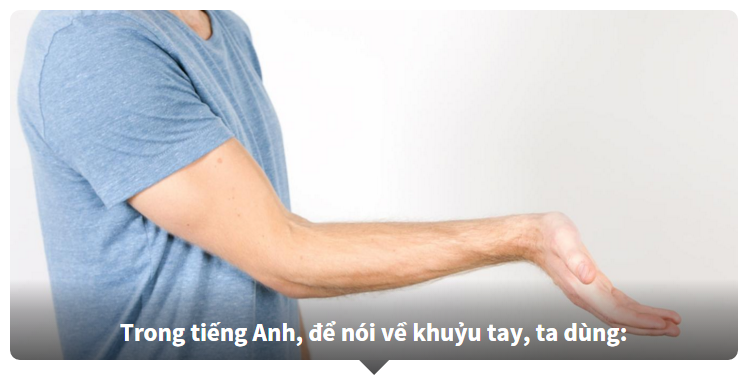 Từ vựng về các bộ phận trên cơ thể bằng Tiếng Anh - Bạn biết nhiều hay ít?