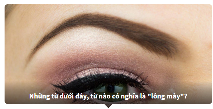 Từ vựng về các bộ phận trên cơ thể bằng Tiếng Anh - Bạn biết nhiều hay ít?