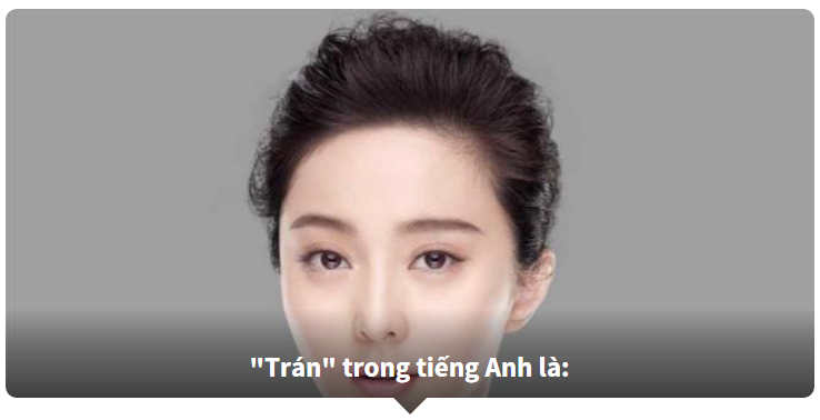 Từ vựng về các bộ phận trên cơ thể bằng Tiếng Anh - Bạn biết nhiều hay ít?