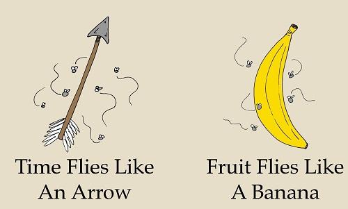 Những câu Tiếng Anh "đặc biệt" dễ bị nhầm lẫn Những câu Tiếng Anh đúng ngữ pháp một cách khó tin