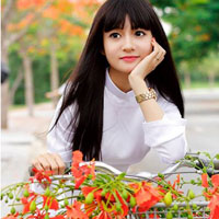 Bài tập mệnh đề quan hệ 2