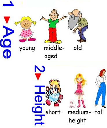 50 từ vựng Tiếng Anh cơ bản miêu tả ngoại hình Từ vựng Tiếng Anh cơ bản