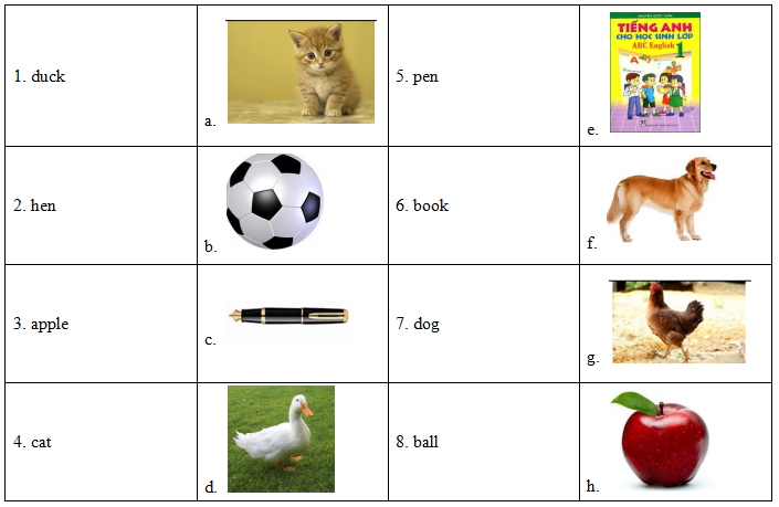 Đề kiểm tra học kỳ 1 môn tiếng Anh lớp 1 trường Tiểu học Vũ Thị Thục, Thái Bình năm học 2014 - 2015