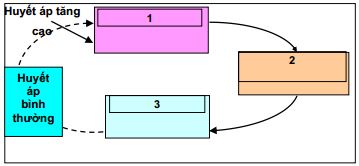 Đề kiểm tra học kì 1 môn Sinh học lớp 11 nâng cao