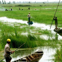 Giáo án Địa lý 4 bài 20: Đồng bằng Nam Bộ