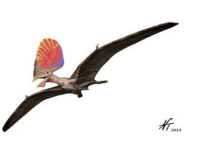 Trắc nghiệm vui khủng long bay