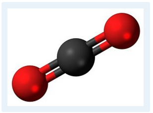 Trắc nghiệm vui phân tử nước