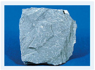 Trắc nghiệm vui đâu là đá