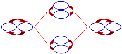 Đề kiểm tra học kì 1 môn Sinh học lớp 8 có đáp án