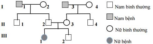 Đề thi học kỳ 1 môn Sinh học lớp 12