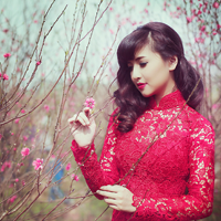 Đề thi học kỳ 1 môn tiếng Anh lớp 11 trường THPT Phan Ngọc Hiển, Cà Mau năm học 2015 - 2016