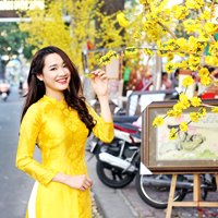 Đề thi tháng môn Tiếng Anh lớp 11 trường THPT Ngô Sĩ Liên, Bắc Giang năm 2015 - 2016 (lần 2)