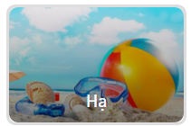 Năm 2016 của bạn sẽ: hạ