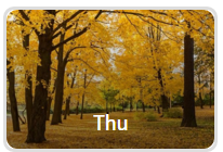 Năm 2016 của bạn sẽ: thu