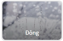 Năm 2016 của bạn sẽ: đông