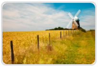 Năm 2016 của bạn sẽ: thanh bình