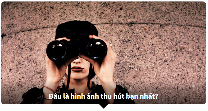 Năm 2016 của bạn sẽ: viễn cảnh tương lai của bạn