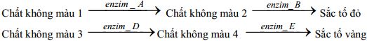Đề thi thử THPT Quốc gia năm 2016 môn Sinh học