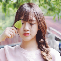 Đề thi thử THPT Quốc gia môn Tiếng Anh trường THPT Tháp Mười, Đồng Tháp năm 2015