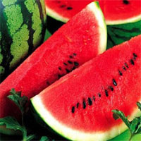 Giáo án mầm non đề tài: Sự tích quả dưa hấu