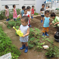 Giáo án mầm non đề tài: Bé trồng cây