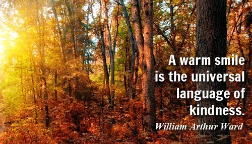 Những câu nói tiếng Anh giúp bạn mỉm cười Những câu nói tiếng Anh cực hay