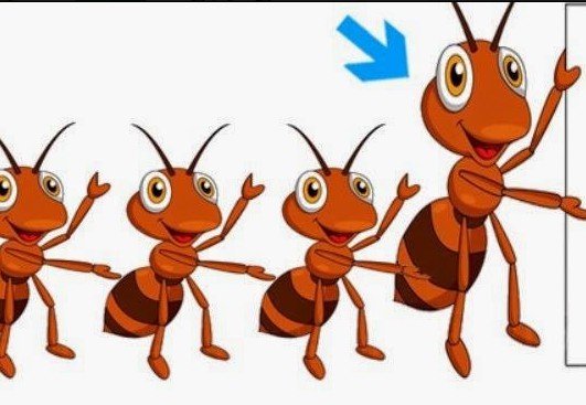 Đuổi hình bắt chữ Đuổi hình bắt chữ câu 5