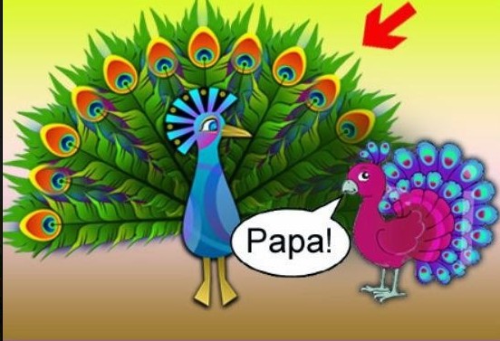 Đuổi hình bắt chữ Đuổi hình bắt chữ công bố