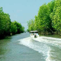 Đề kiểm tra 15 phút môn Ngữ Văn lớp 6 - "Sông nước Cà Mau"