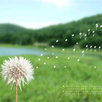 Giáo án bài Vội vàng