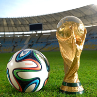 Học tiếng Anh qua tin: Trung Quốc với giấc mơ World Cup