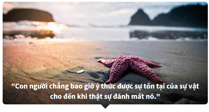 Đoán phim hoạt hình thông qua những câu châm ngôn ý nghĩa!