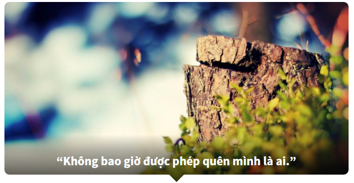 Đoán phim hoạt hình thông qua những câu châm ngôn ý nghĩa!