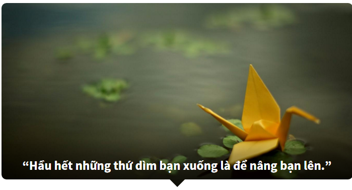 Đoán phim hoạt hình thông qua những câu châm ngôn ý nghĩa!