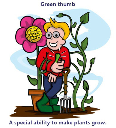 Một số cụm từ tiếng Anh cực hay   