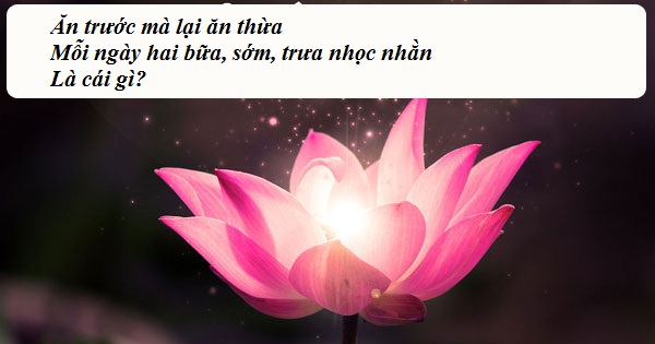 "Hại não" trước Tết với loạt câu đố dân gian cực "hóc"