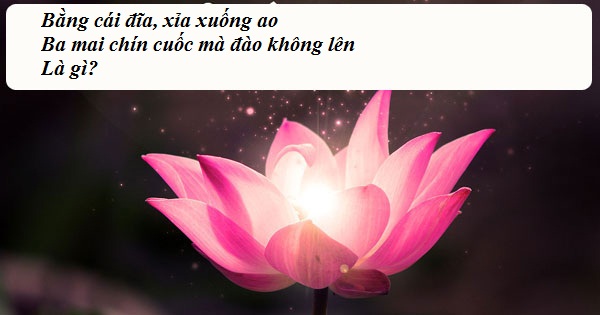 "Hại não" trước Tết với loạt câu đố dân gian cực "hóc"