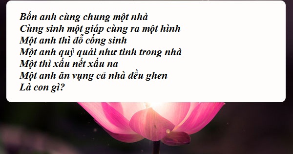 "Hại não" trước Tết với loạt câu đố dân gian cực "hóc"