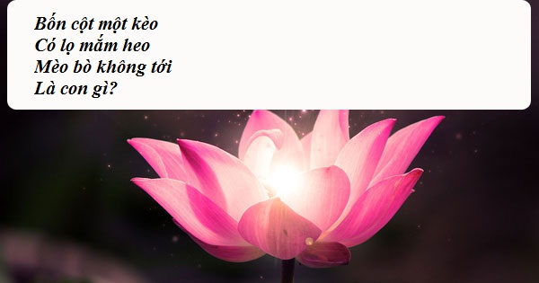 "Hại não" trước Tết với loạt câu đố dân gian cực "hóc"