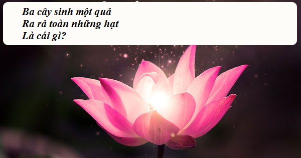 "Hại não" trước Tết với loạt câu đố dân gian cực "hóc"