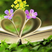 Soạn bài lớp 8: Luyện tập về xây dựng và trình bày luận điểm