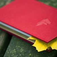 Soạn bài lớp 8: Thuế máu