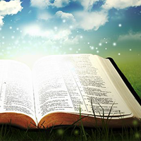 Soạn bài Ôn tập văn miêu tả