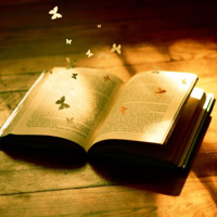 Soạn bài lớp 8: Tìm hiểu yếu tố biểu cảm trong văn nghị luận