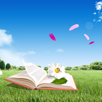 Soạn bài lớp 8: Lựa chọn trật tự từ trong câu