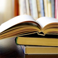 Soạn bài lớp 8: Luyện tập đưa các yếu tố tự sự và miêu tả vào bài văn nghị luận